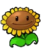 🌻