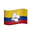🇨🇴