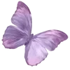 🦋