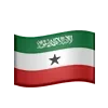 🇸🇴