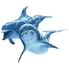 🐠