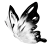 🪙