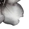 ⭐