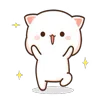 ✨