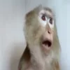 ⁉️