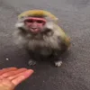 ✋