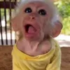 😛