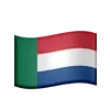 🇿🇦