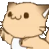 🐈