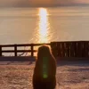 🌅