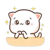 ✨