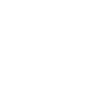 ⚡