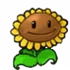 🌻