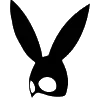 🐰