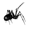 🕷