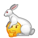 🐰