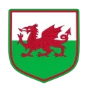 🏴󠁧󠁢󠁷󠁬󠁳󠁿