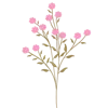 🌱