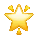🌟