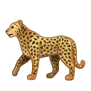 🐆