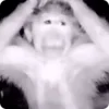 😳