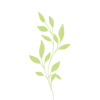 🌱