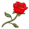 🌹