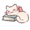 🐱