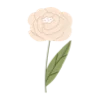 🌷