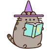 🧙‍♀️