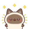 ✨