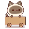 🐱