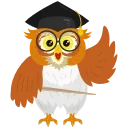 🦉