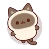 🐈