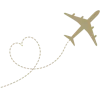 ✈️