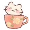 🐱