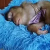 🛏️