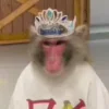 👑