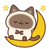 🌙