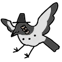 🐦‍⬛️