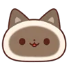 🐱