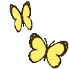 🦋