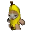 🏃