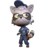 🦝