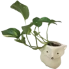 ❕️