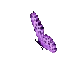 🦋