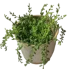 ❕️