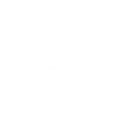 🐱