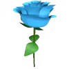 🌹