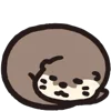 😴